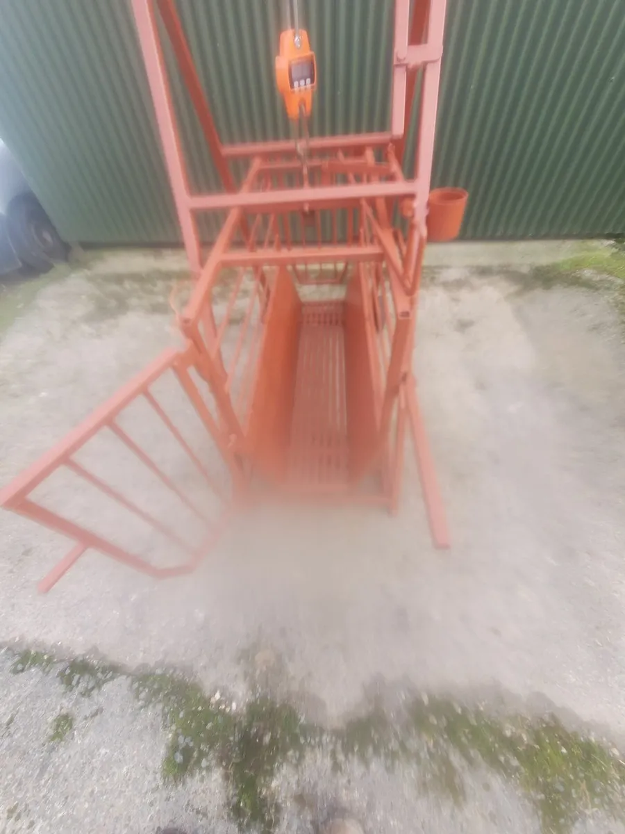 Sheep weighing Scales/Crate - Image 3