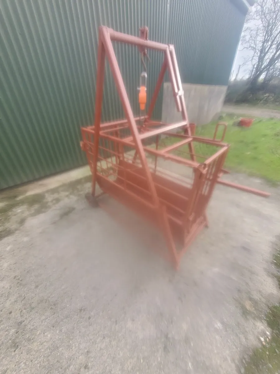 Sheep weighing Scales/Crate - Image 4