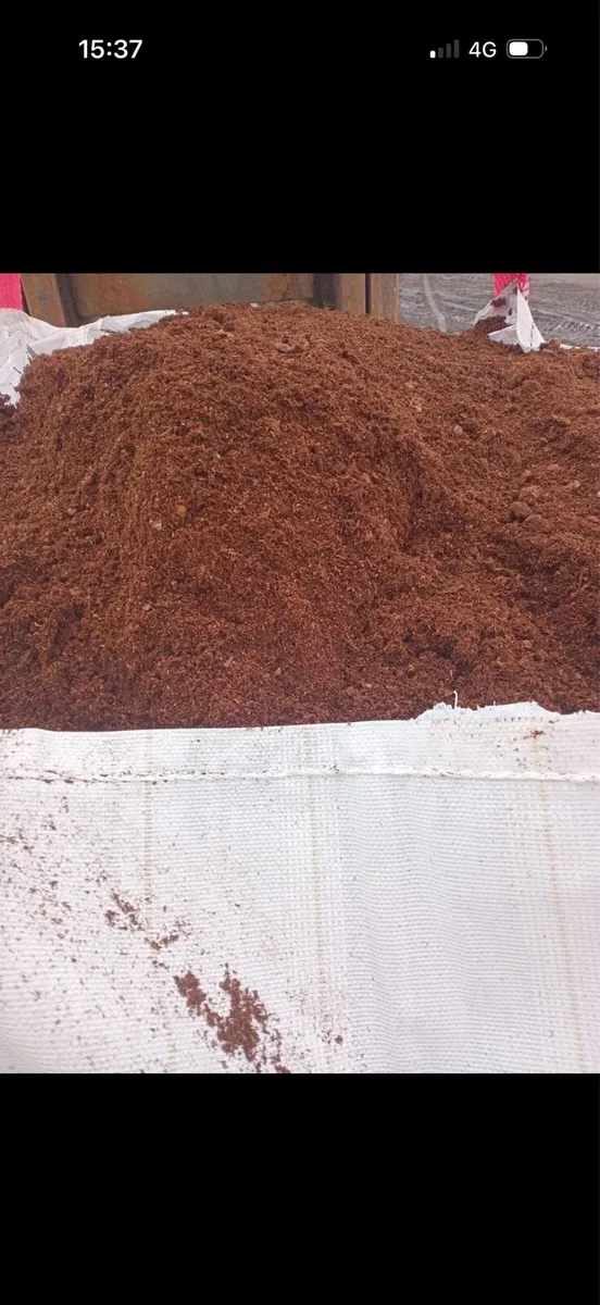 Moss for cattle bedding top quality - Image 2