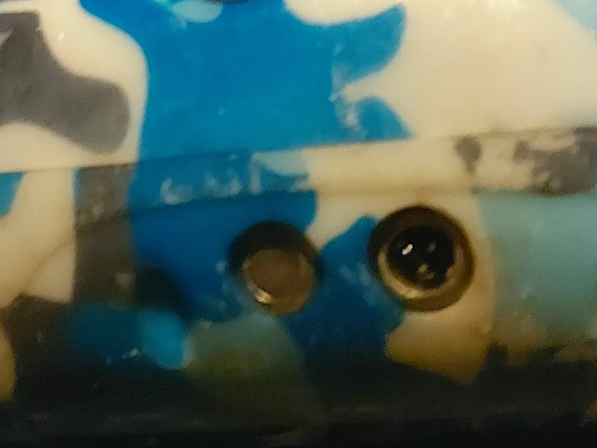 2 Hoverboards, White & Blue, Charger Missing - Image 3