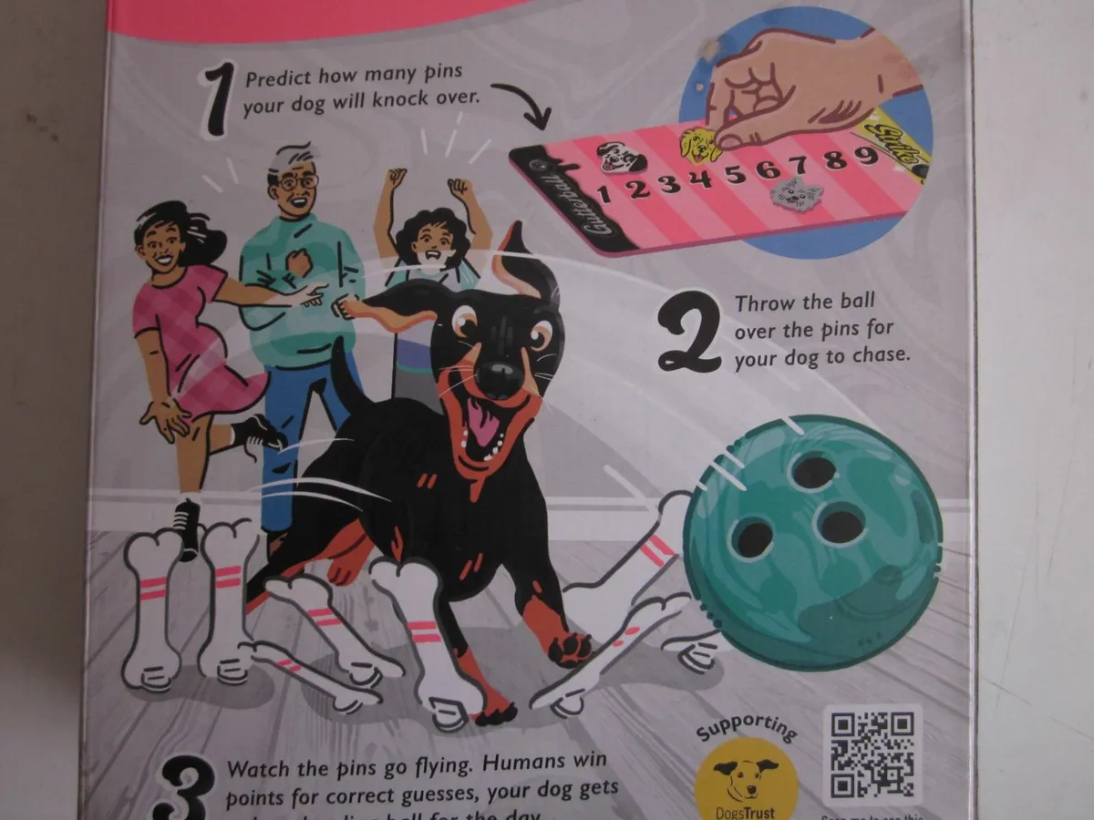 Ten-Bone Bowling Party Game with Dog - Image 3