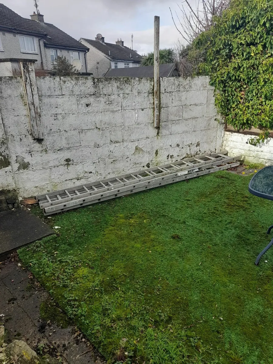 Double extension ladders - Image 1