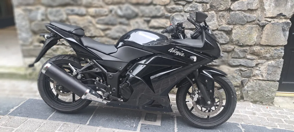 Ninja 250 - Image 1