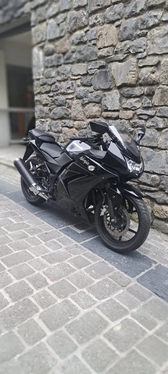 Ninja 250 - Image 2