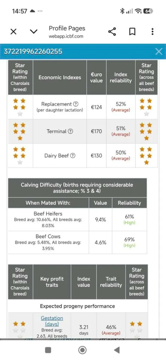 Charolais Pure Bred Heifer**Balla Sale17th Feb ** - Image 4