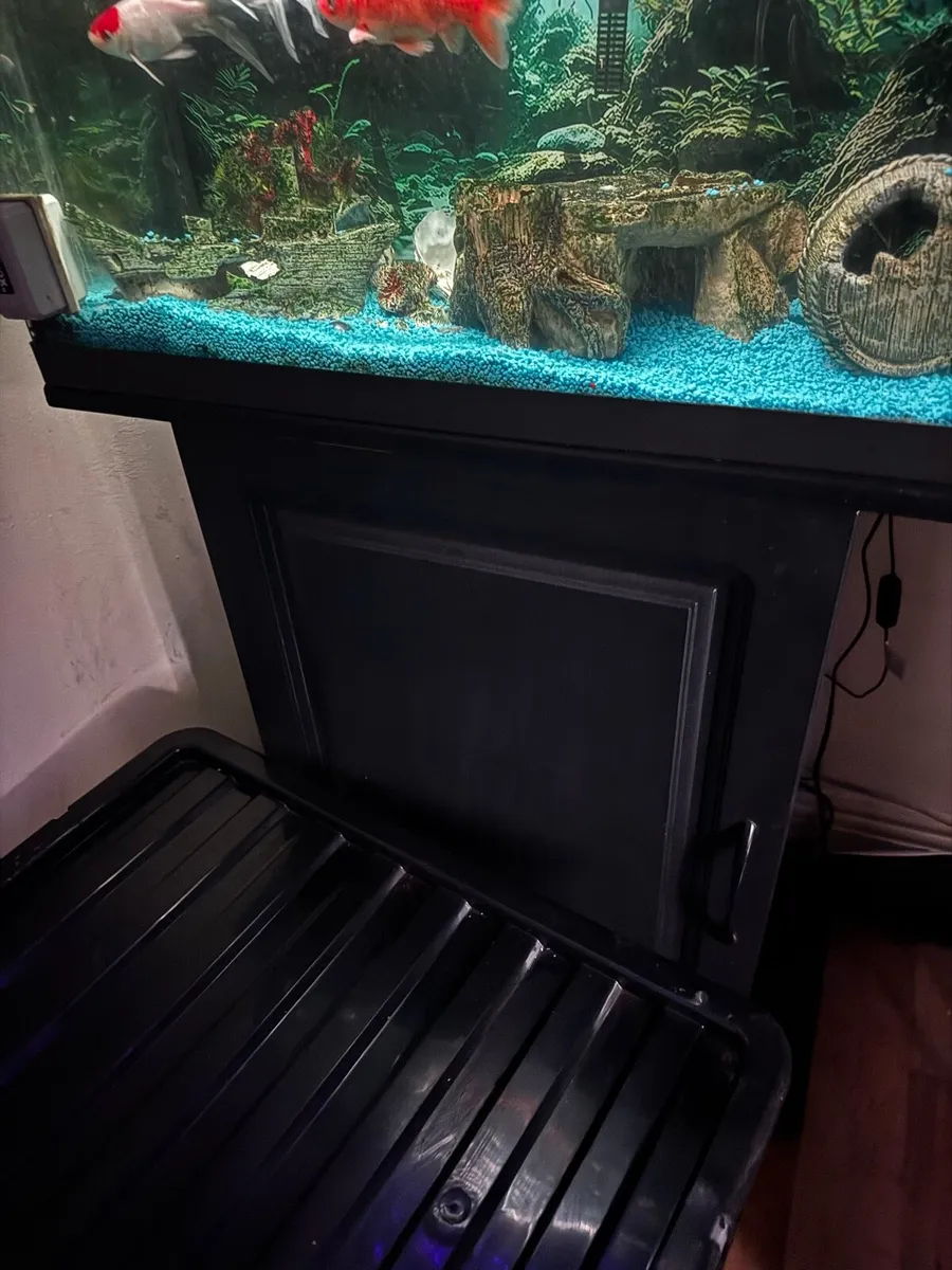 Fish tank - Image 4