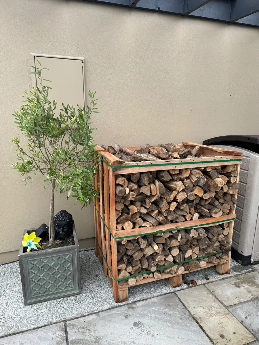 Olive Firewood - Image 3