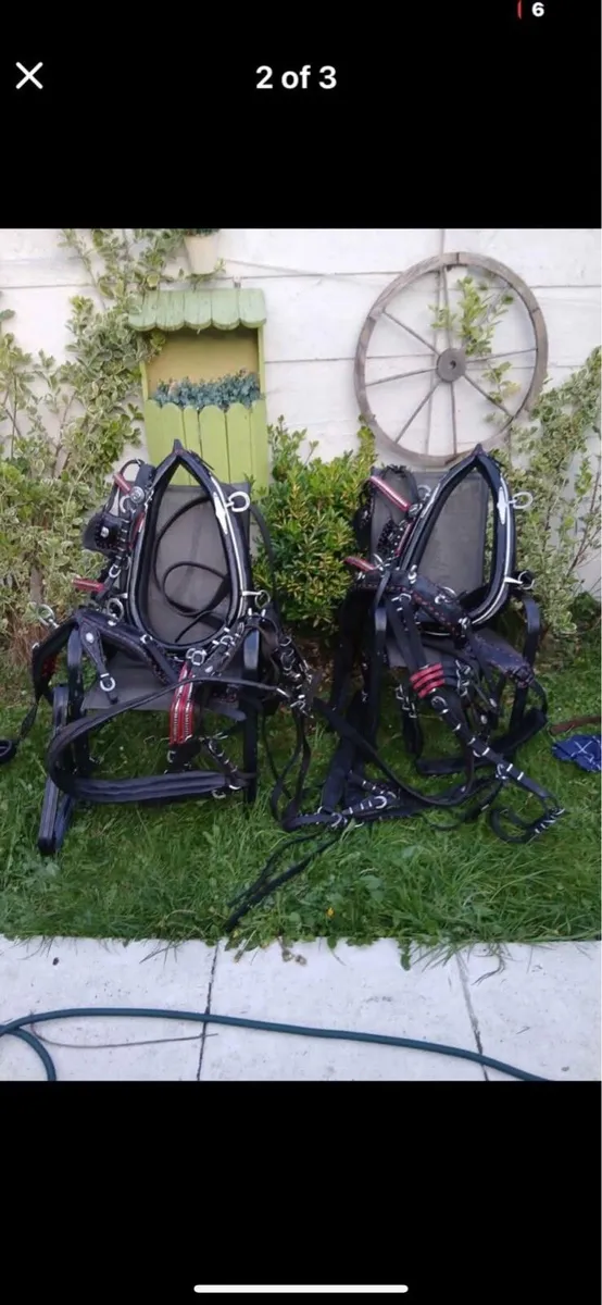 Horse shoe bucket pair harness - Image 1