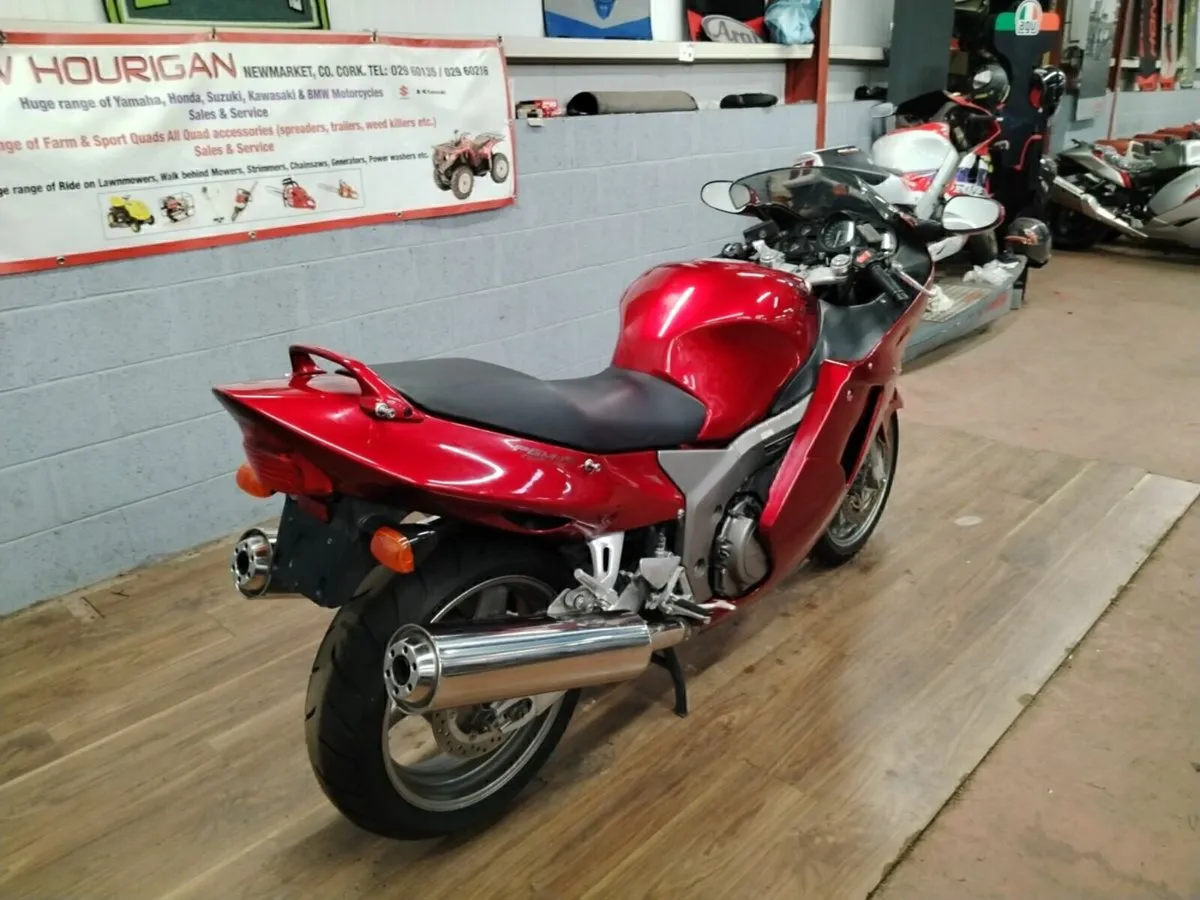 Honda CBR1100 Blackbird - Image 4