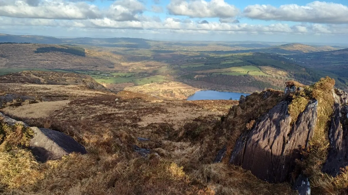 Land Wanted Lease - Image 1