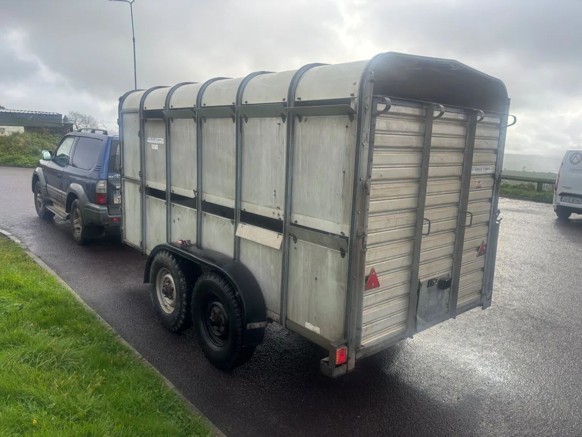 ifor williams ta510 12ft - Image 3