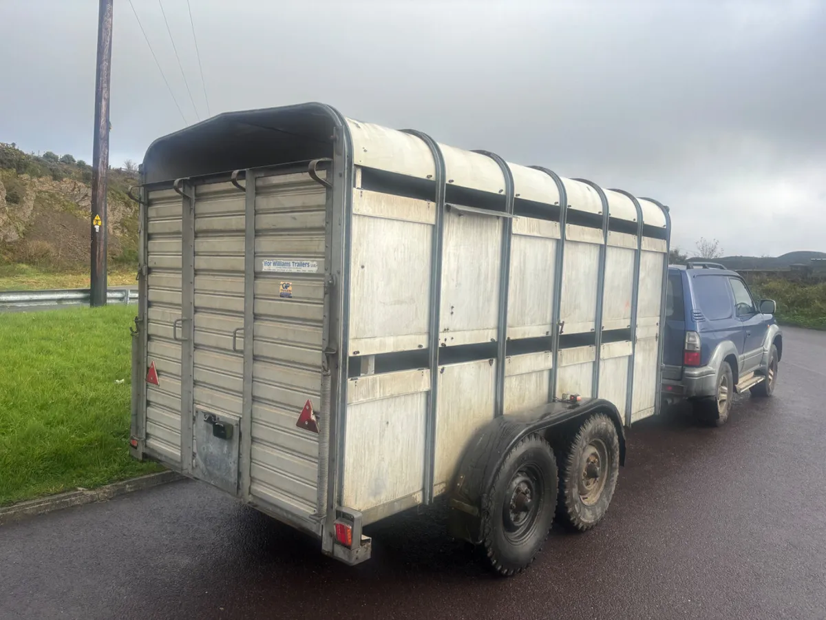 ifor williams ta510 12ft - Image 2
