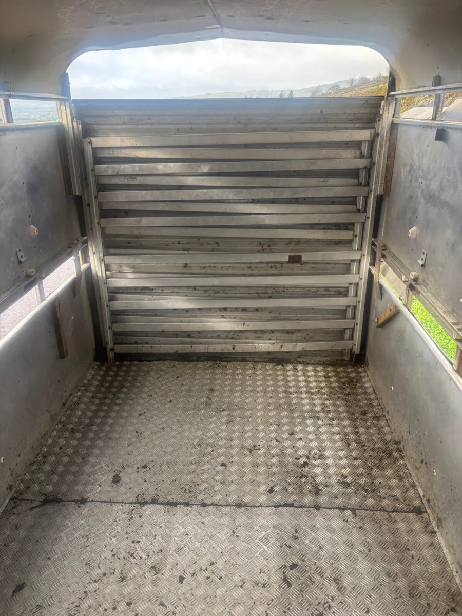 ifor williams ta510 12ft - Image 4