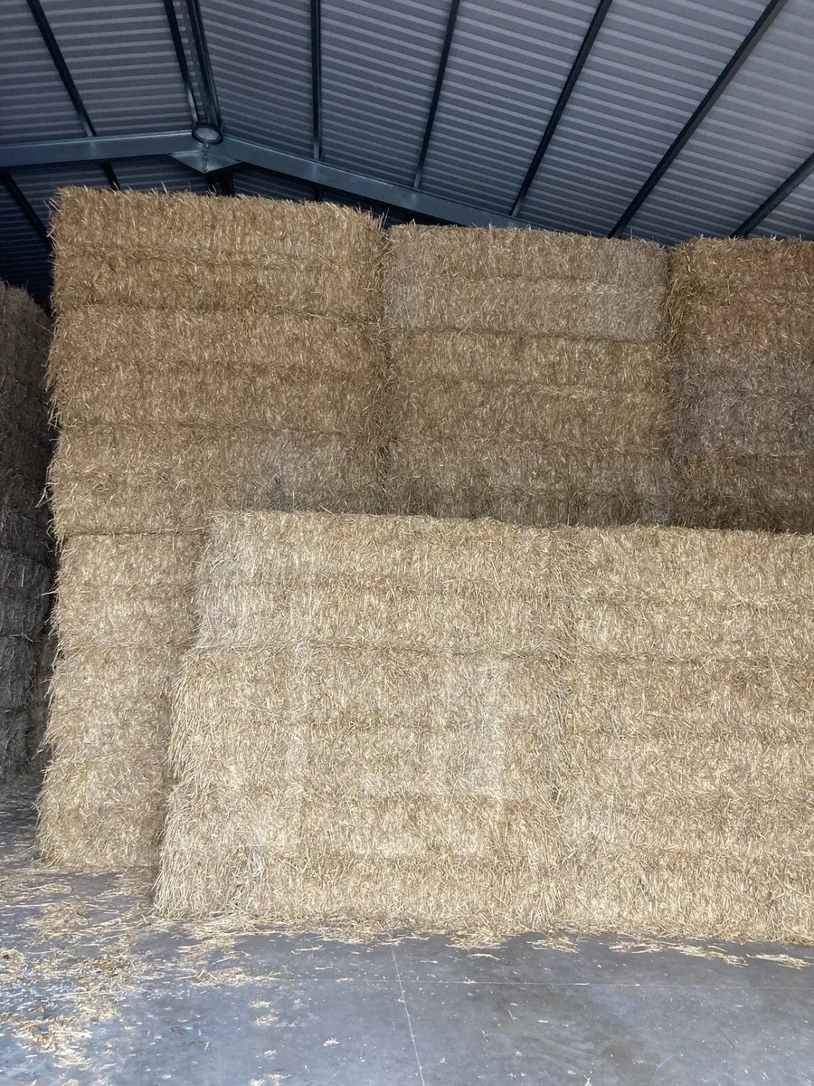 Straw Wheat /Rape 8x4x3/silage 4x4 - Image 3