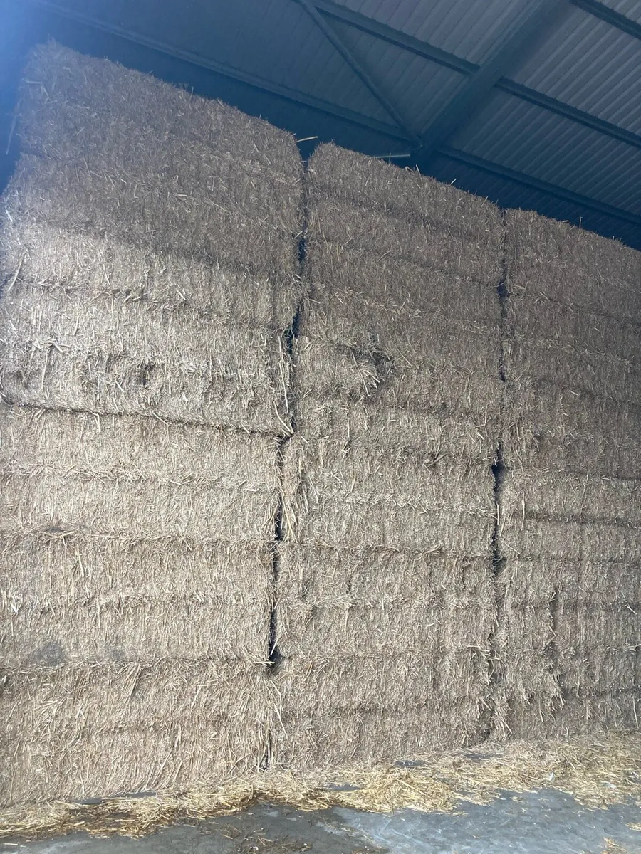Straw Wheat /Rape 8x4x3/silage 4x4 - Image 4