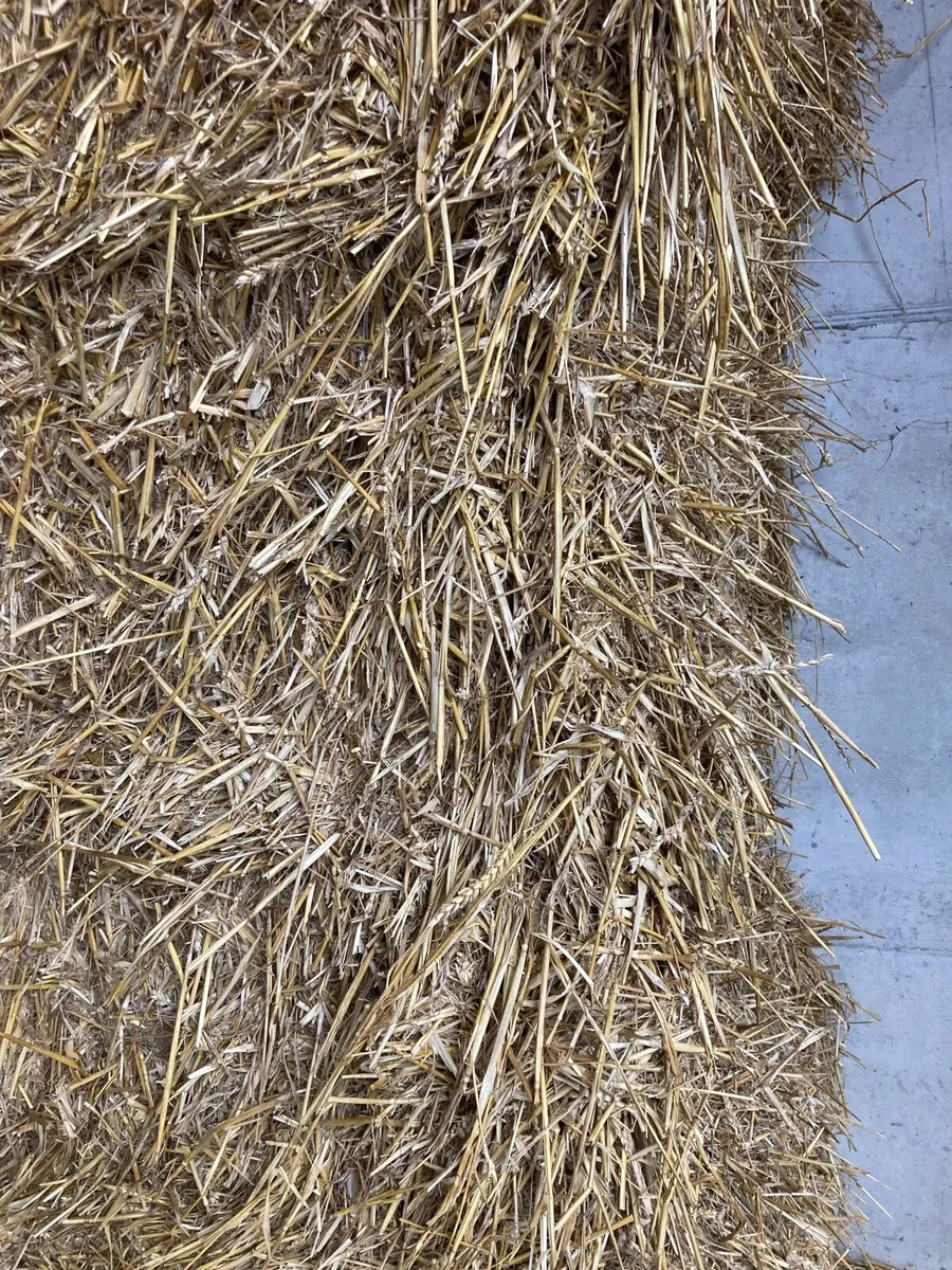 Straw Wheat  8x4x3/silage 4x4 - Image 4