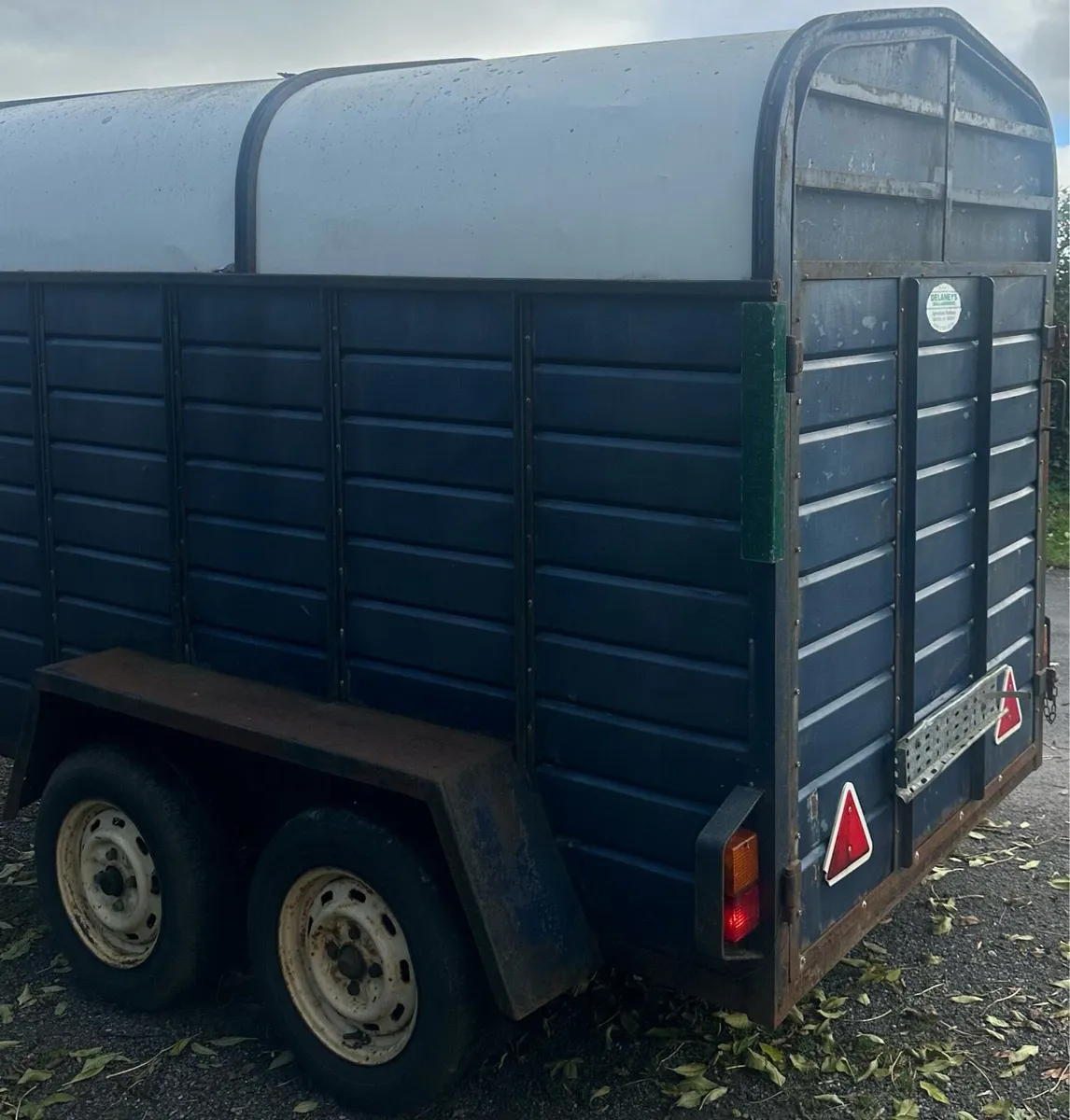 8 x 5 Delaneys Cattle Trailer - Image 2