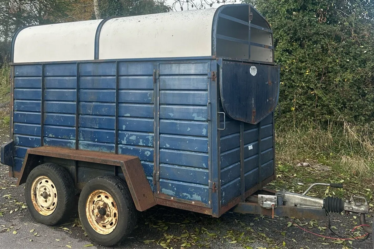 8 x 5 Delaneys Cattle Trailer - Image 3
