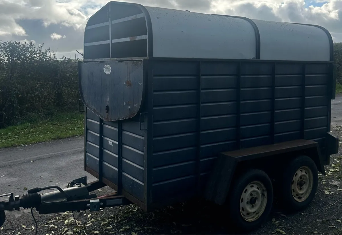 8 x 5 Delaneys Cattle Trailer - Image 1