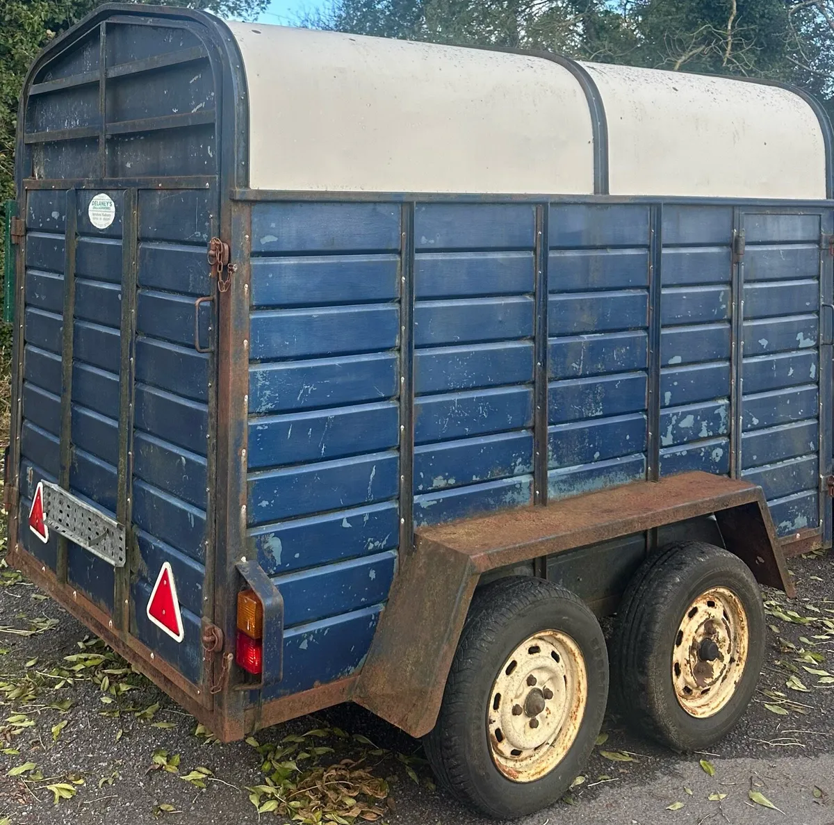 8 x 5 Delaneys Cattle Trailer - Image 4