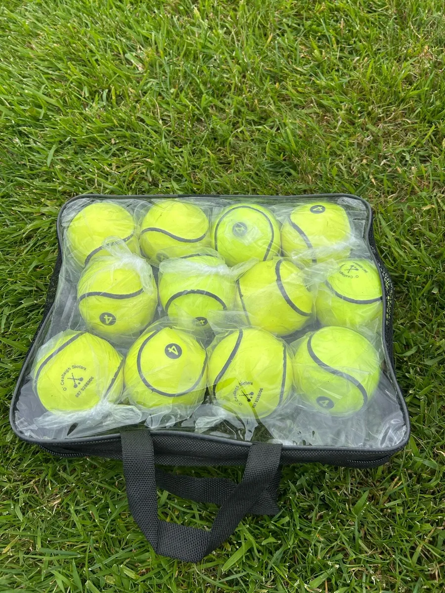 Wall Balls Size 4/ Hurling/Hurley/Sliotars - Image 3