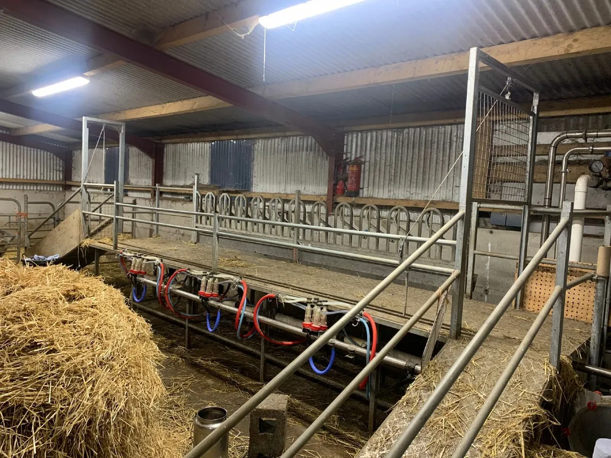 Goat milking parlour and stand - Image 1