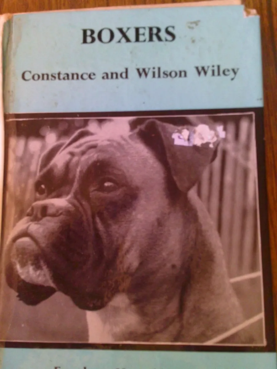 vintage dog books - Image 3