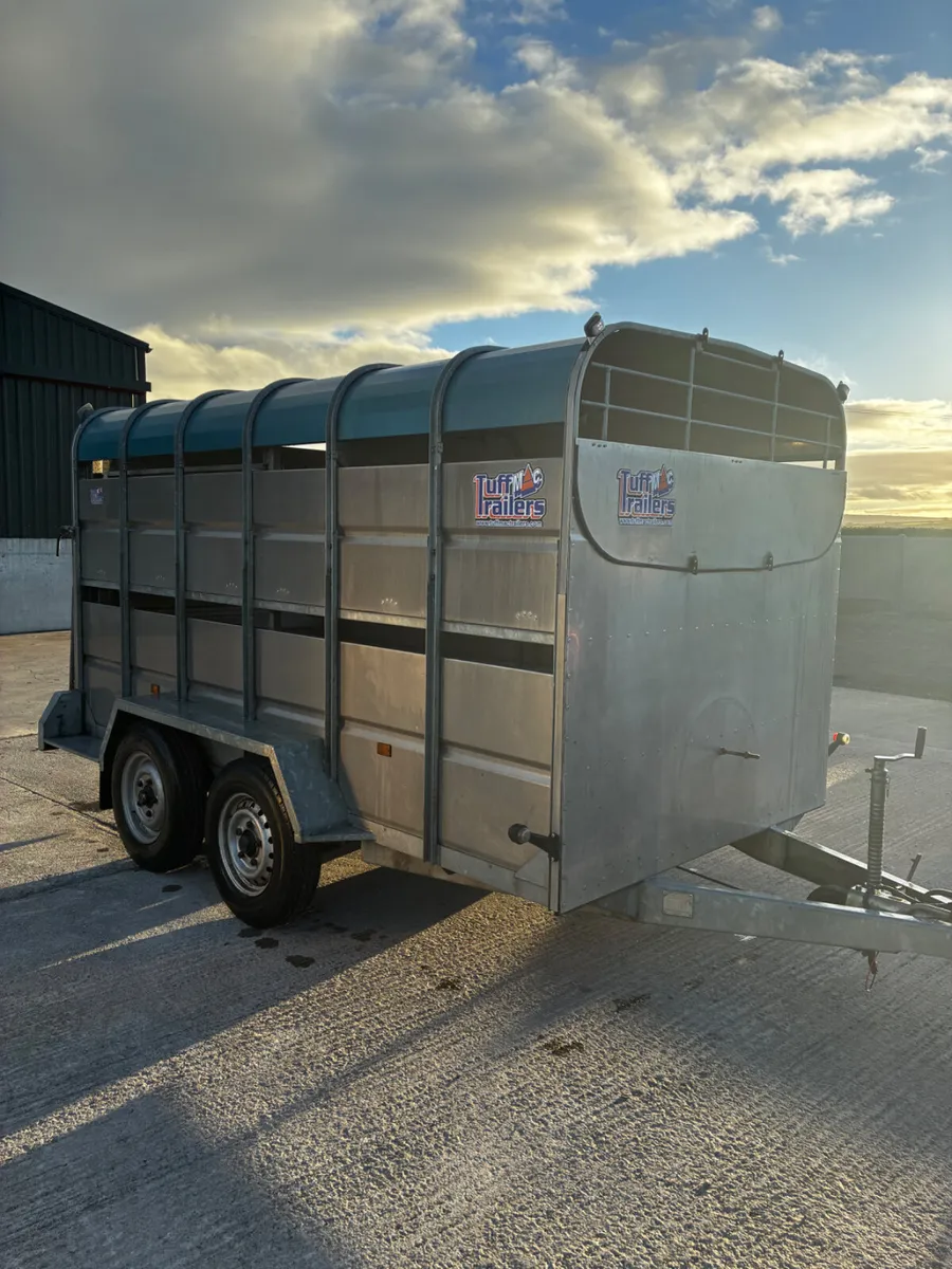 As new 12ft tuff Mac with sheep decks - Image 2