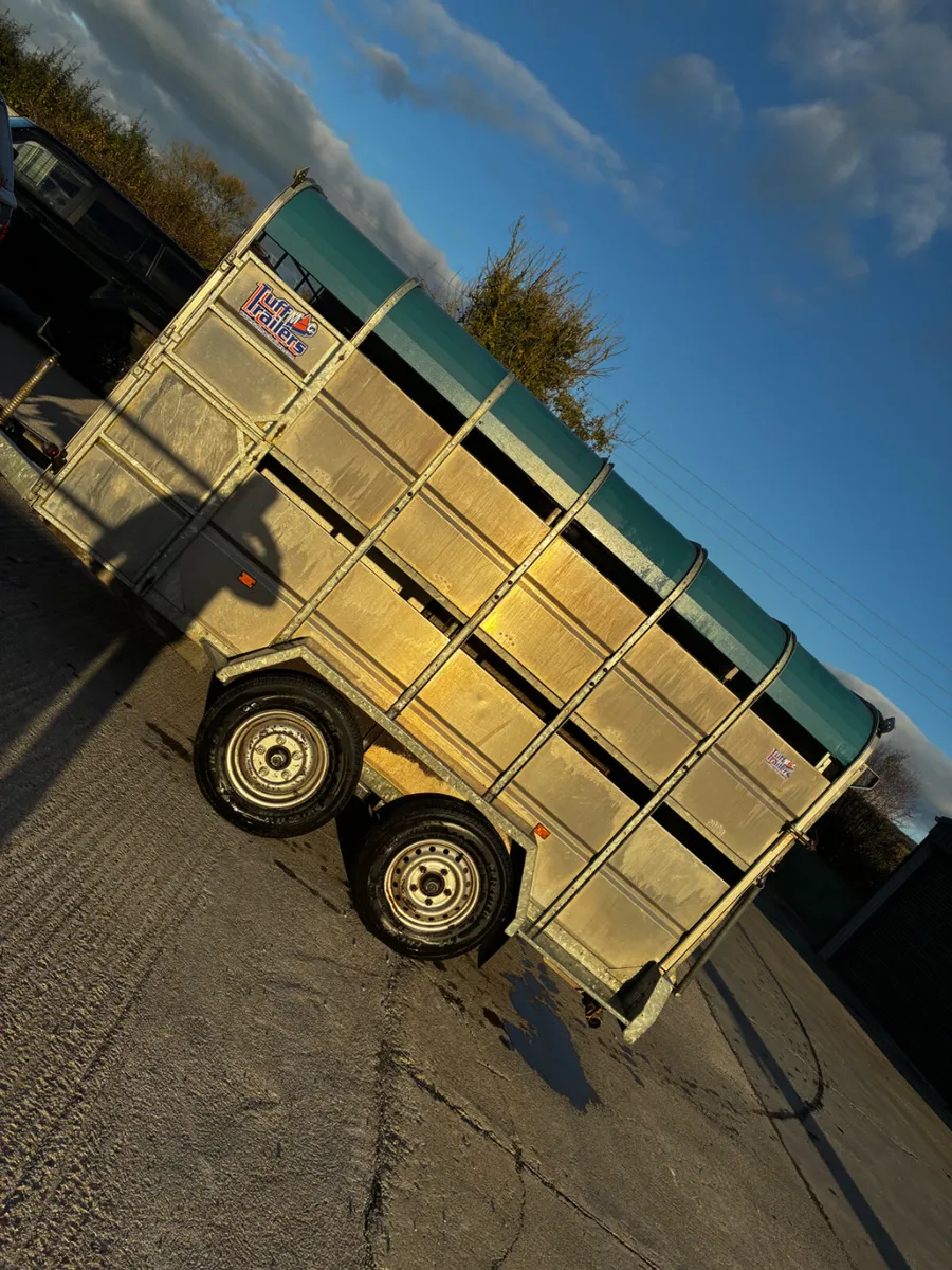 As new 12ft tuff Mac with sheep decks - Image 3