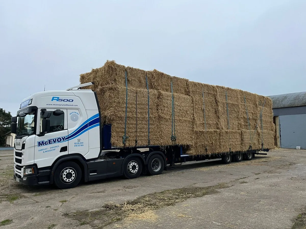 2025 Top Quality Chopped Spring Barley/Wheat Straw - Image 1