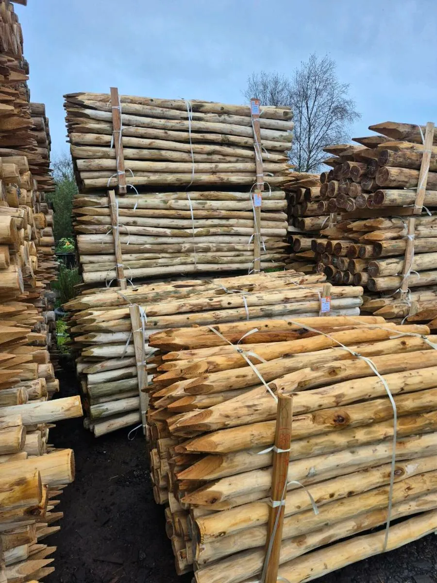 Robinia Hardwood Fencing Posts - Image 4