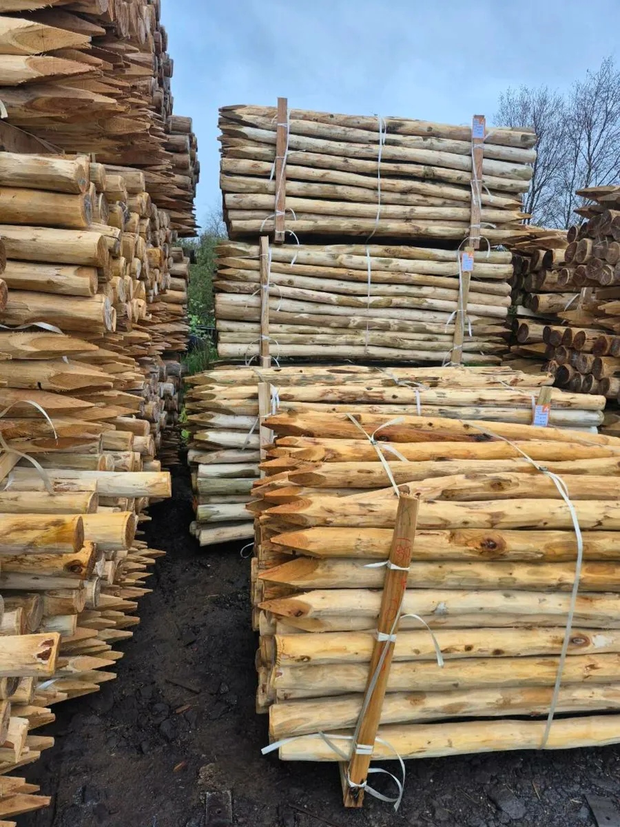 Robinia Hardwood Fencing Posts - Image 2