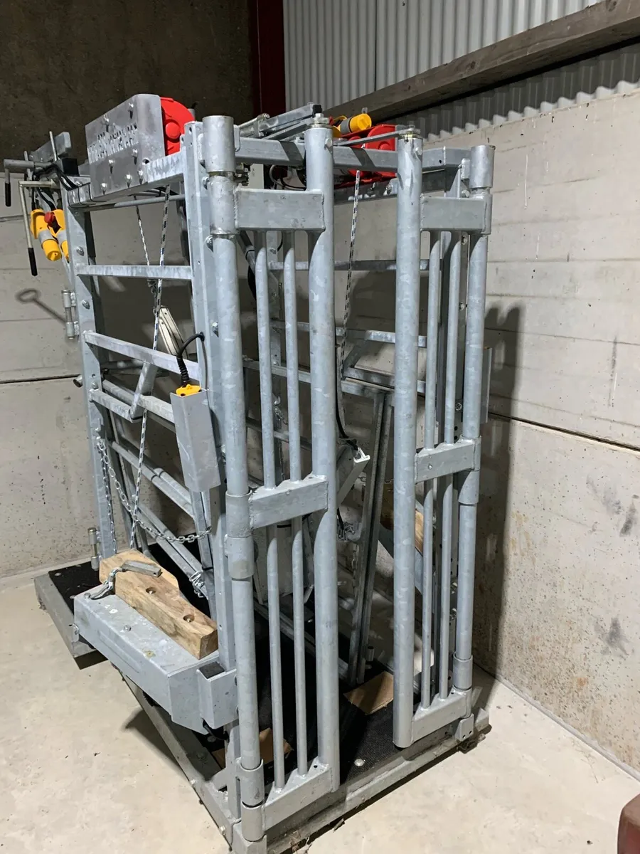 GDS Electric Hoof Trimming Crush - Image 2