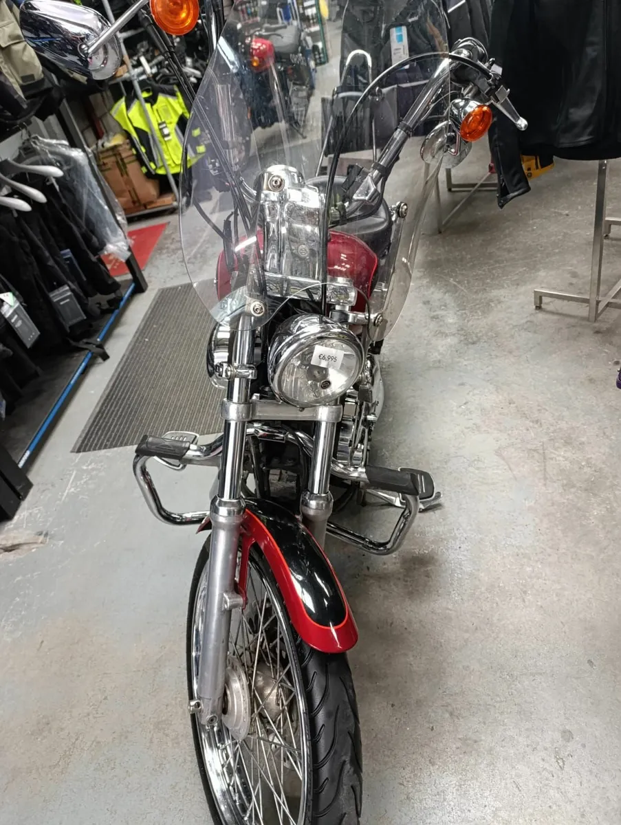 😎HARLEY DAVIDSON SPORTSTER 1200 - REAL NICE😎 - Image 3