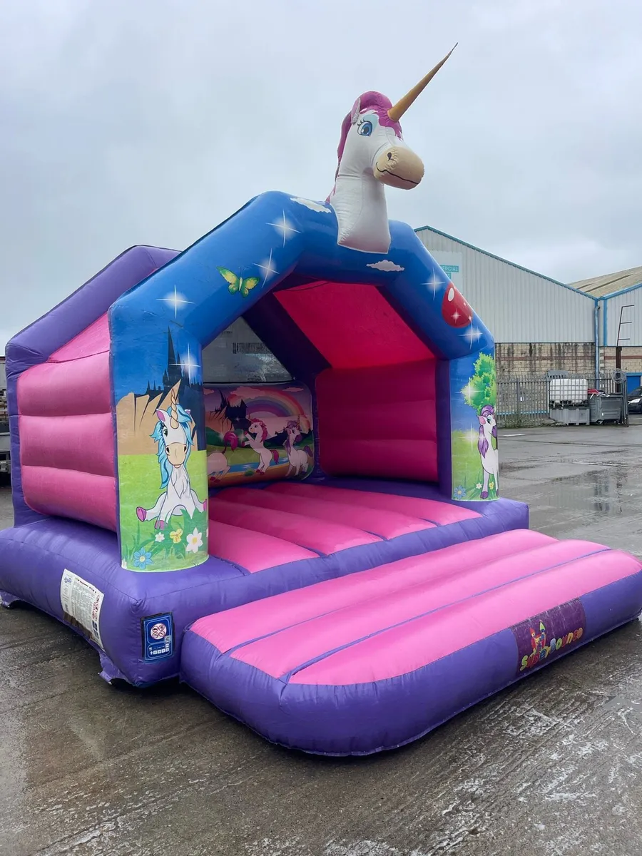 Unicorn 12x12(airquee) - Image 3