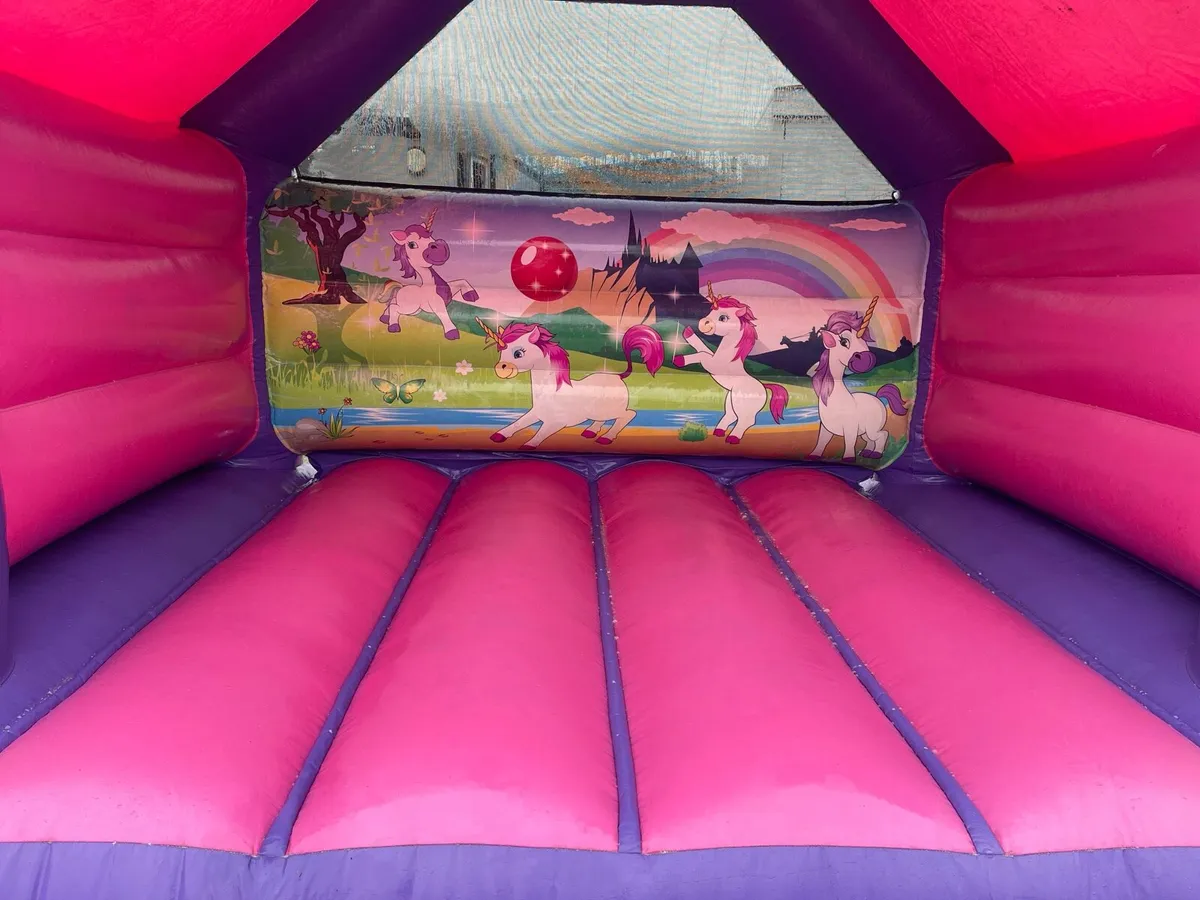 Unicorn 12x12(airquee) - Image 4