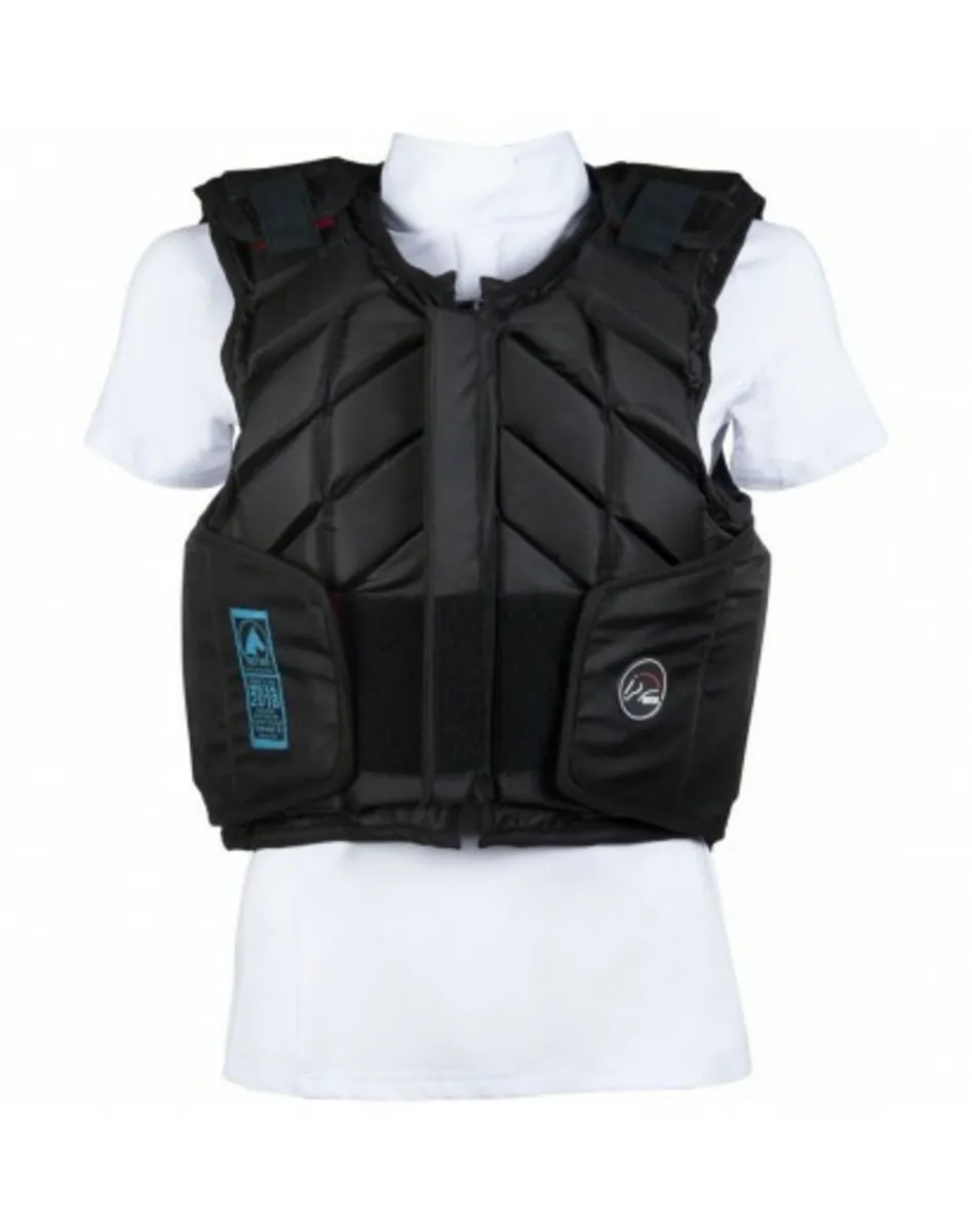 Body Protector- trade in welcome - Image 2