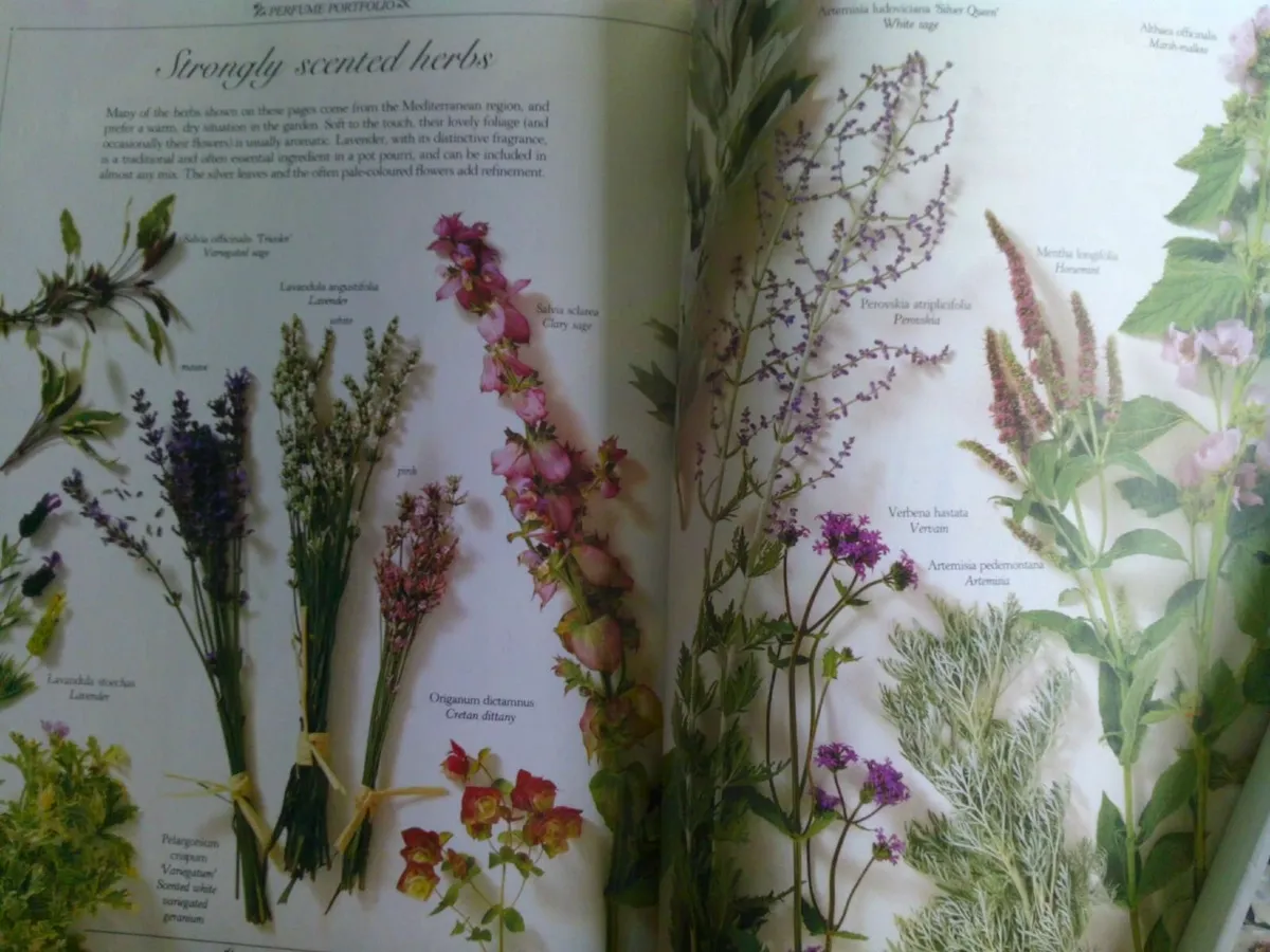 books flowers Herbs - Image 3