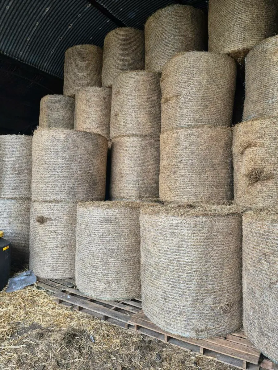 Hay for Sale - Image 1