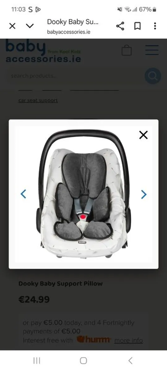Infant car seat insert - Image 1