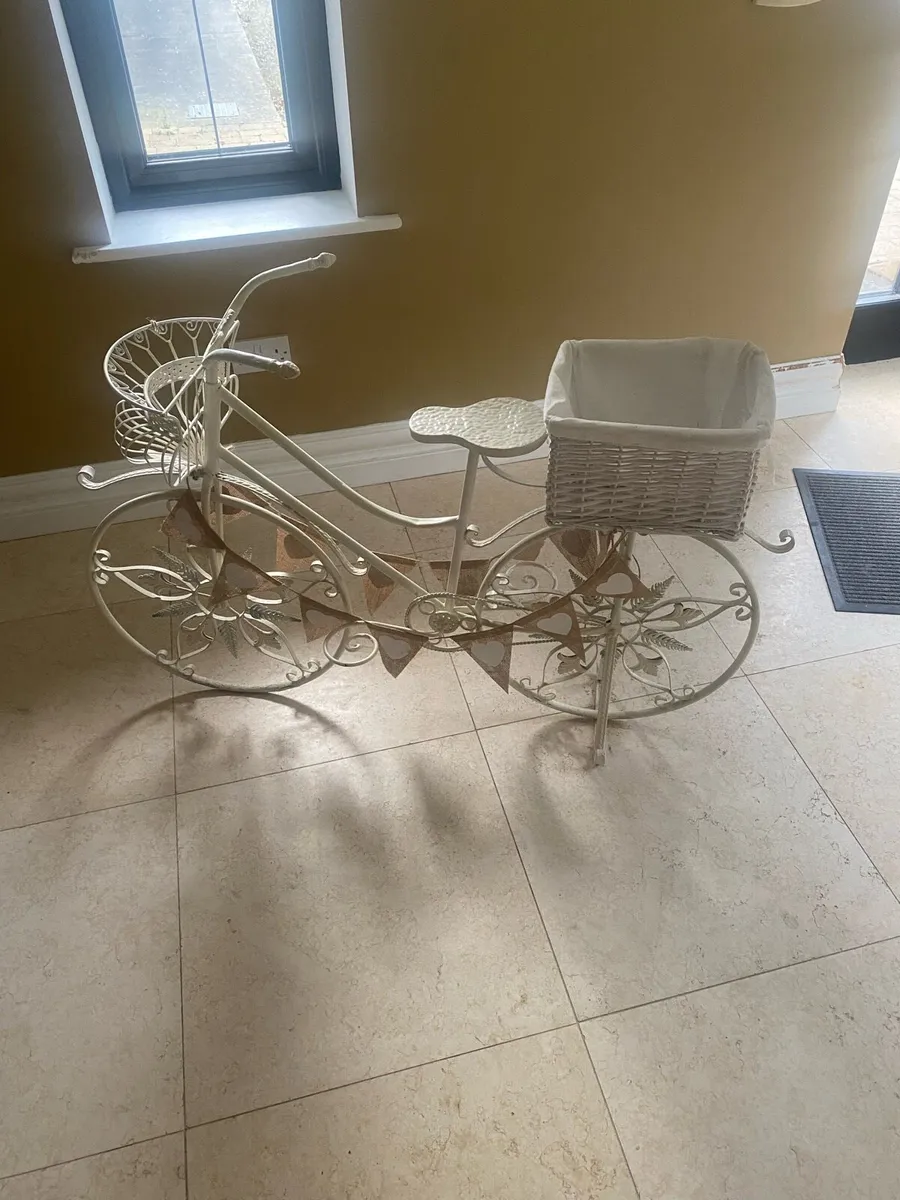 50 euro Tayto wall and Decorative bike for wedding - Image 1