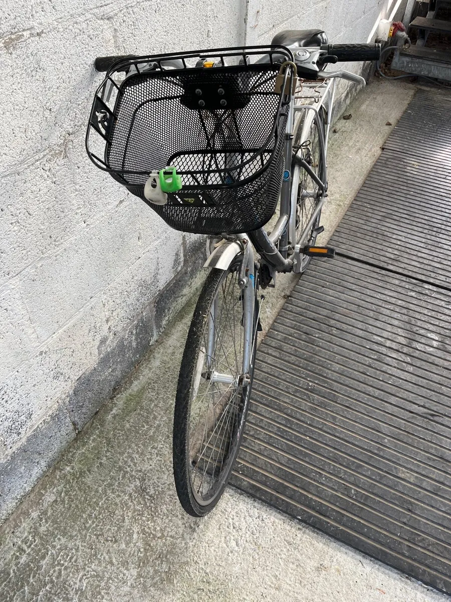 High Nellie bike - Image 2