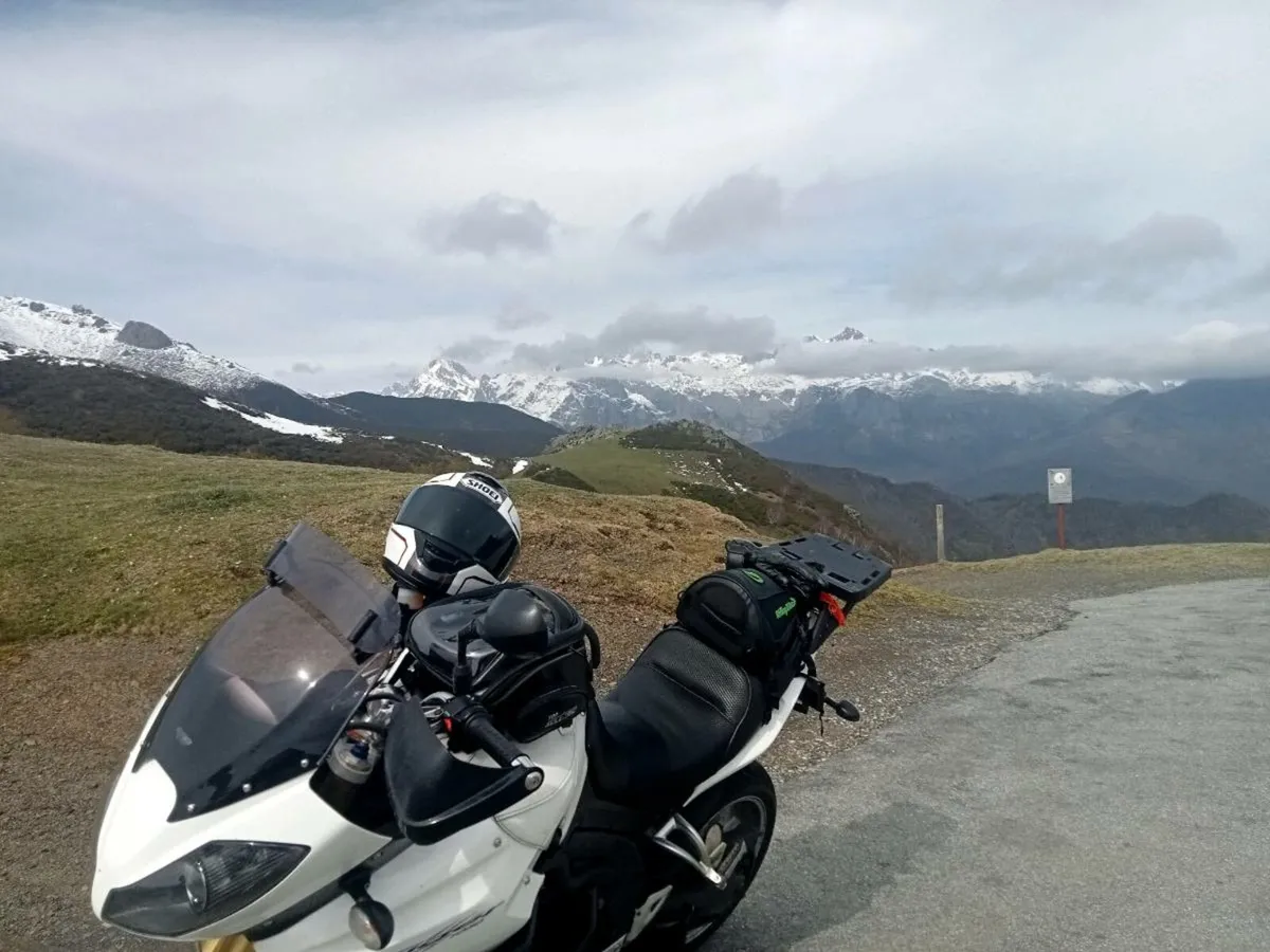 Triumph tiger 1050 - Image 4