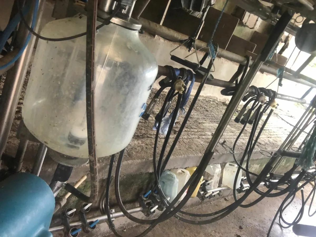 Milking Parlour - Image 4