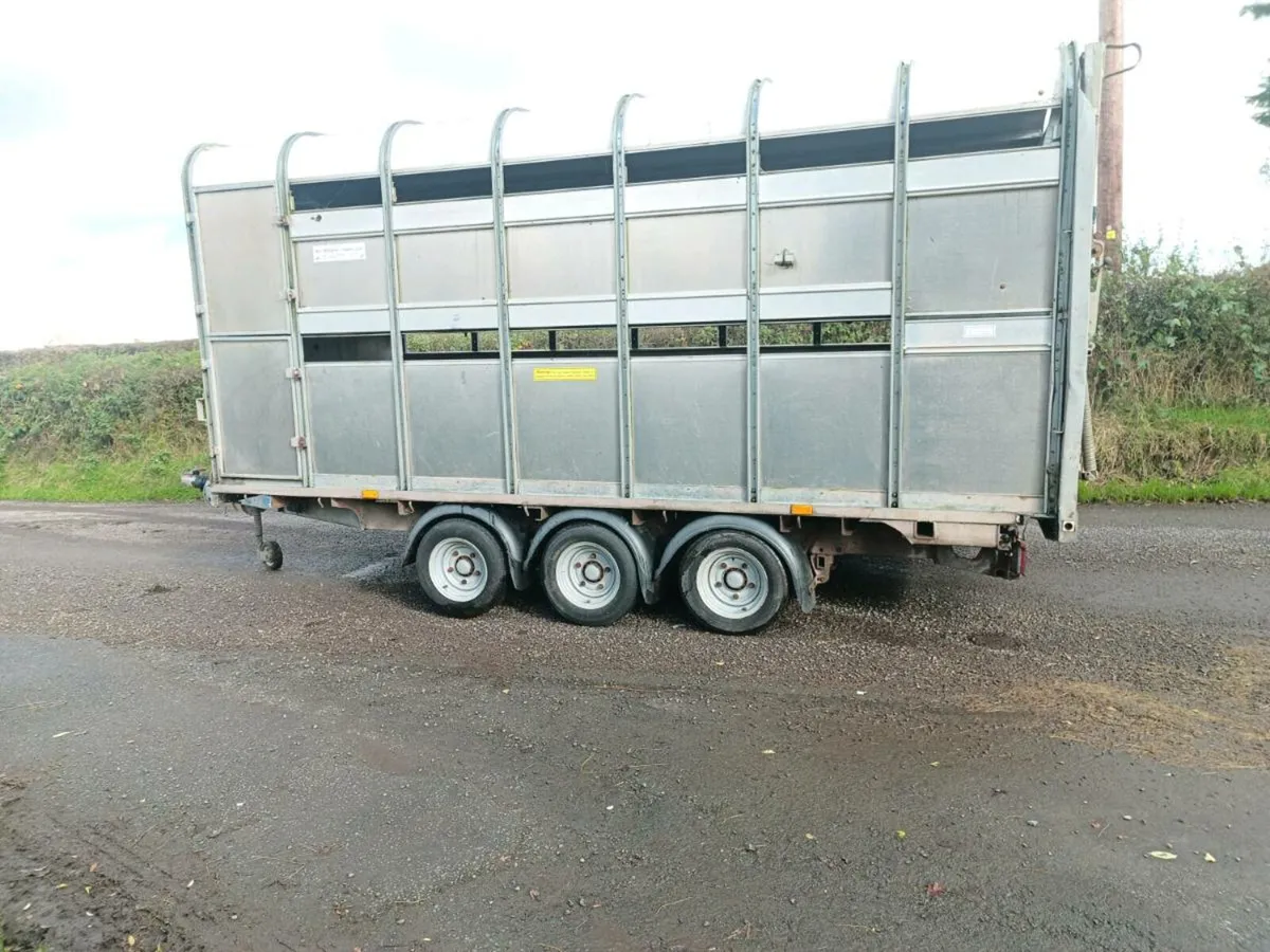 Ifor Williams dp livestock trailer - Image 3