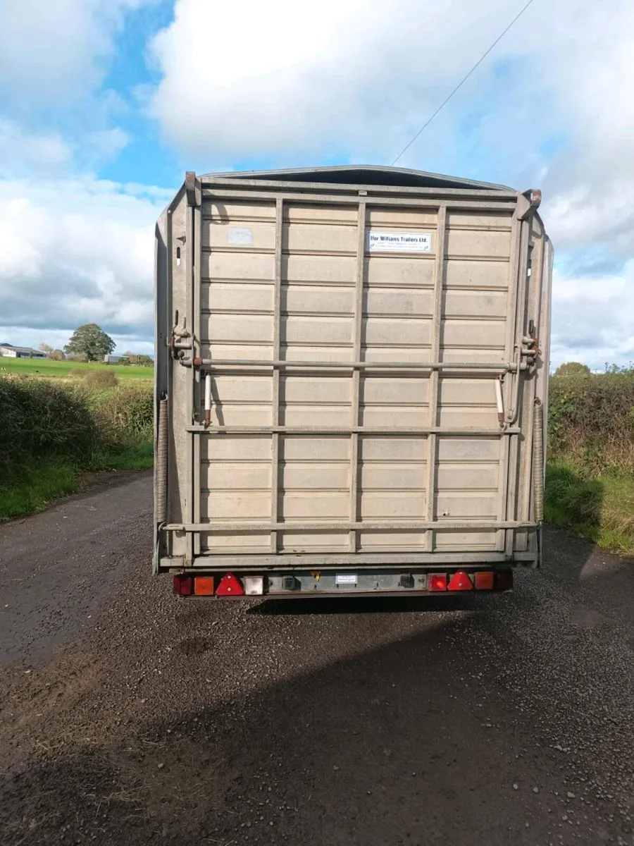 Ifor Williams dp livestock trailer - Image 4