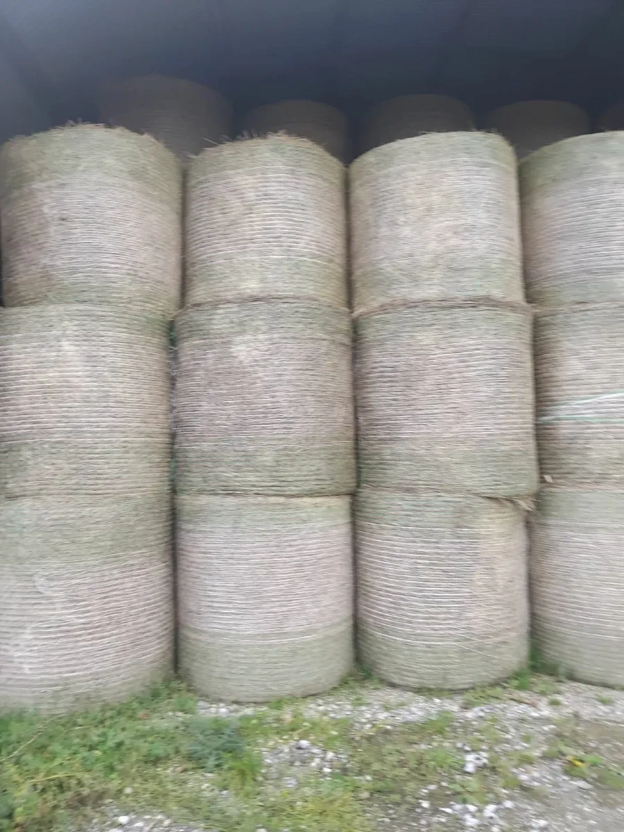 Hay and Silage for Sale - Image 1