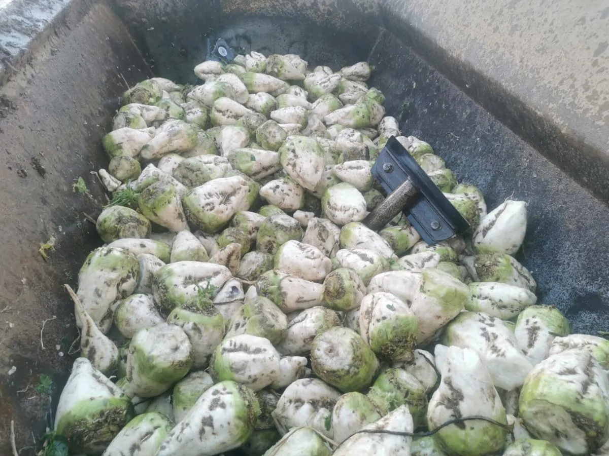 Enermax beet - Image 2