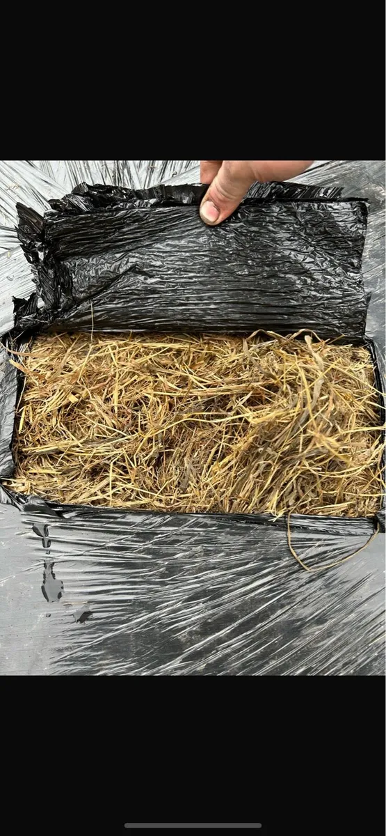 QUALITY FEEDING SILAGE AND HAYLAGE - Image 2