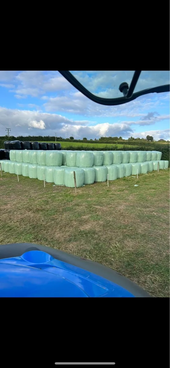 QUALITY FEEDING SILAGE AND HAYLAGE - Image 3